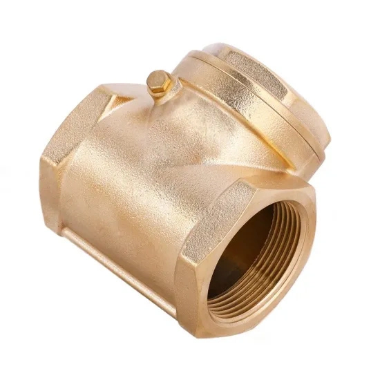 1/2 Inch Bsp NPT Quality China Supplier Brass Spring Check Valve