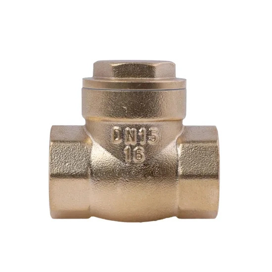 1/2 Inch Bsp NPT Quality China Supplier Brass Spring Check Valve