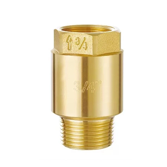 DIN259 Thread 2" Brass Spring Check Valves Female X Female