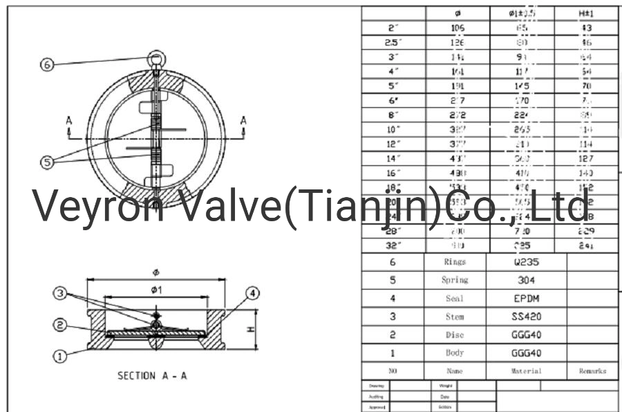 Cast Ductile Iron Brass Carbon Steel DN50-DN900 1200 Duo Dual Check Spring Wafer Butterfly Check Valves ANSI DIN JIS 10K